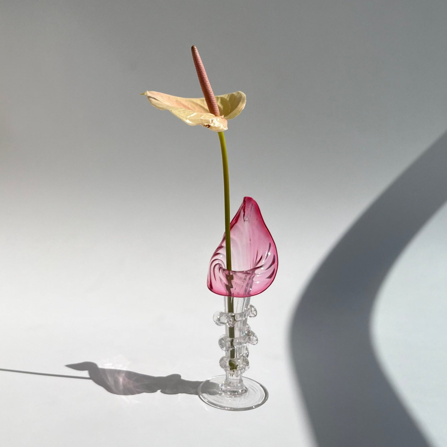 Escultura Solifleur Jack in the Pulpit