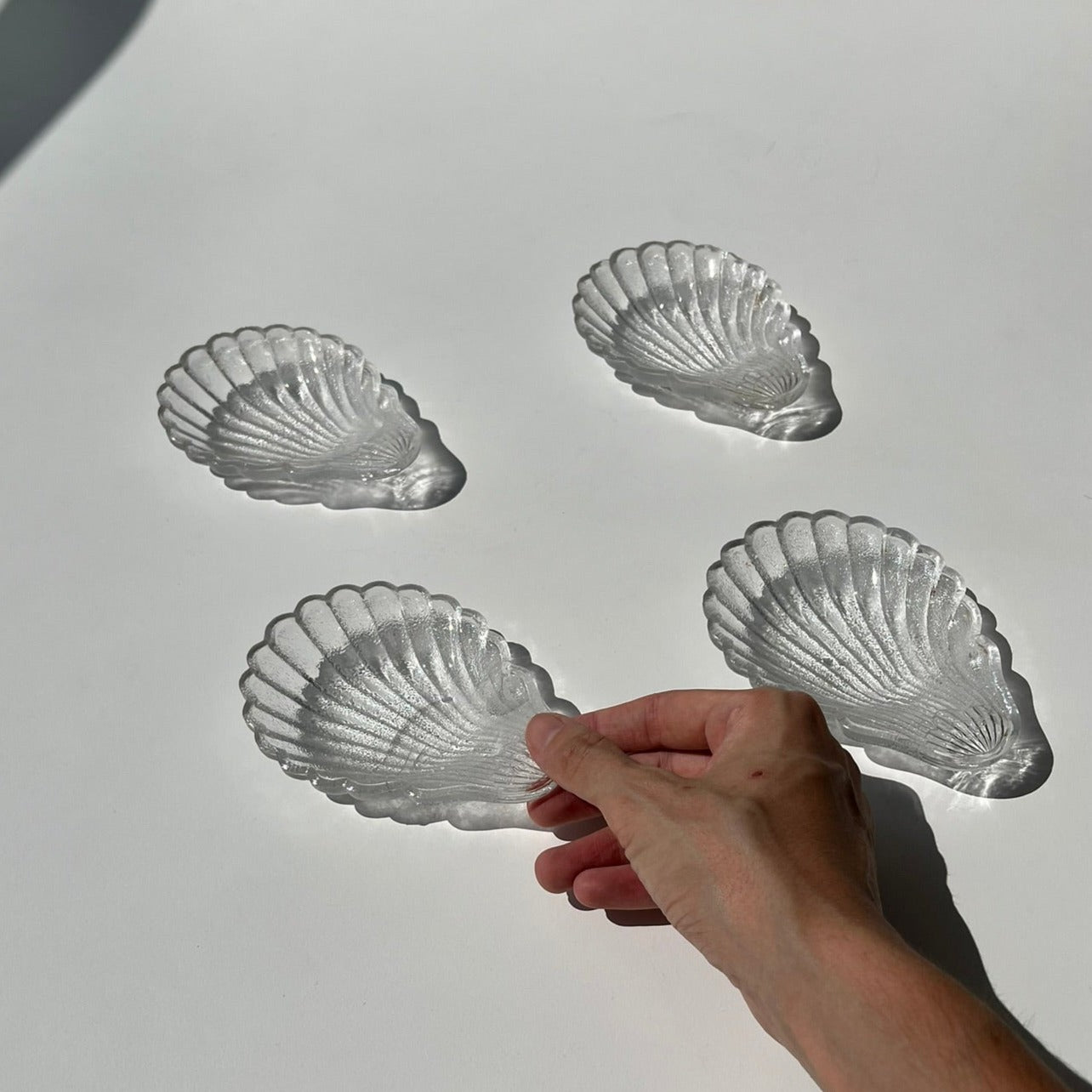 Conchas Portieux