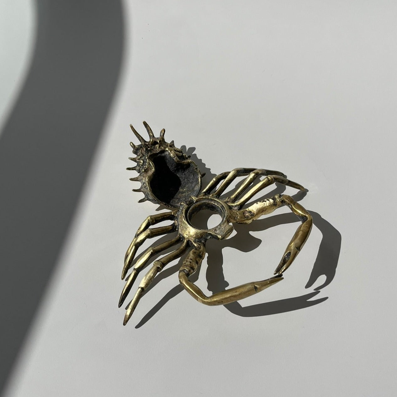 Caranguejo Bronze