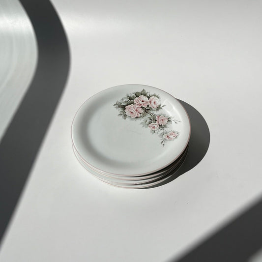 Pratos Porcelana Schmidt