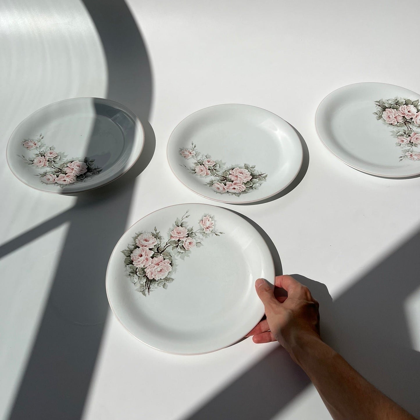 Pratos Porcelana Schmidt