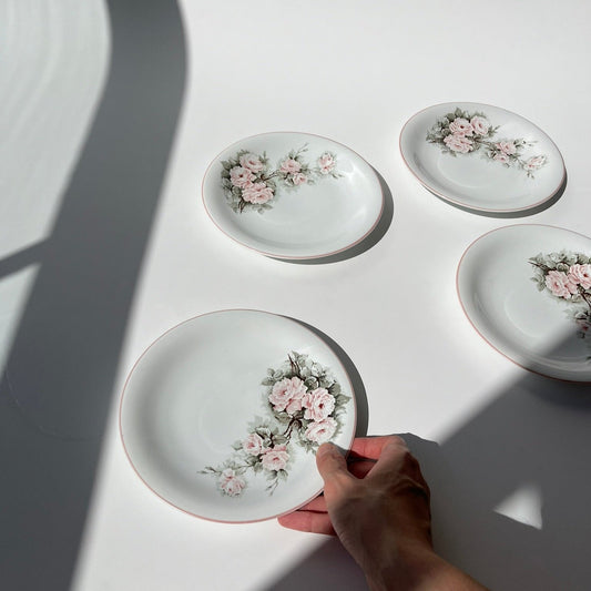 Pratos Sobremesa Porcelana Schmidt