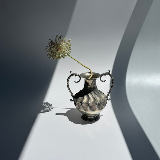 Anfôra Prata Boliviana