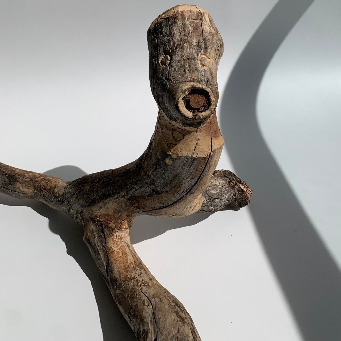 Macaco