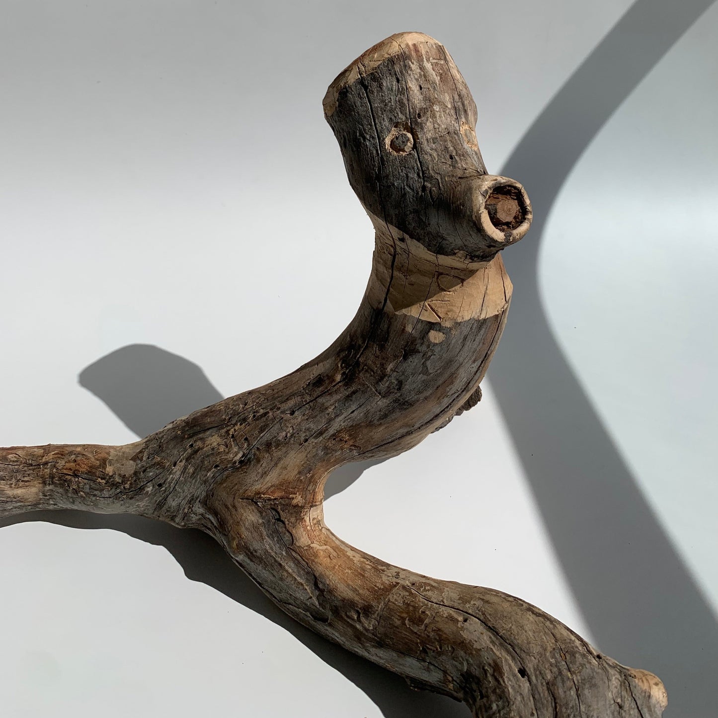 Macaco