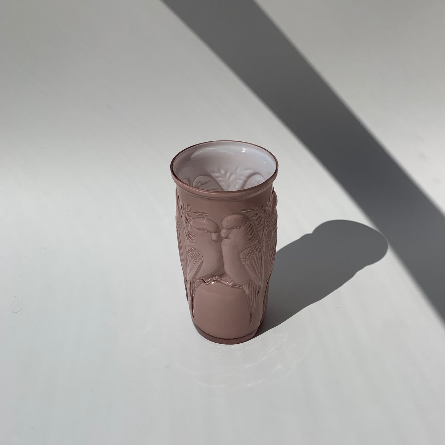 Vaso Cacatuas