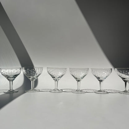 Champagne Folhinhas