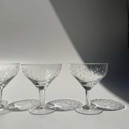 Champagne Folhinhas