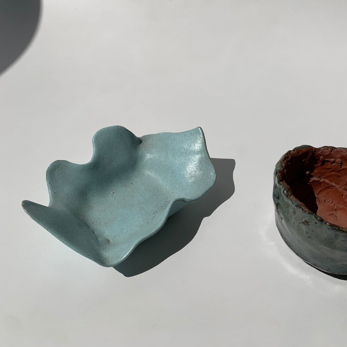 Mini Pestisqueiras