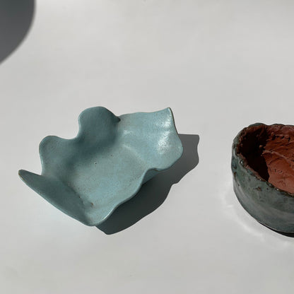 Mini Pestisqueiras