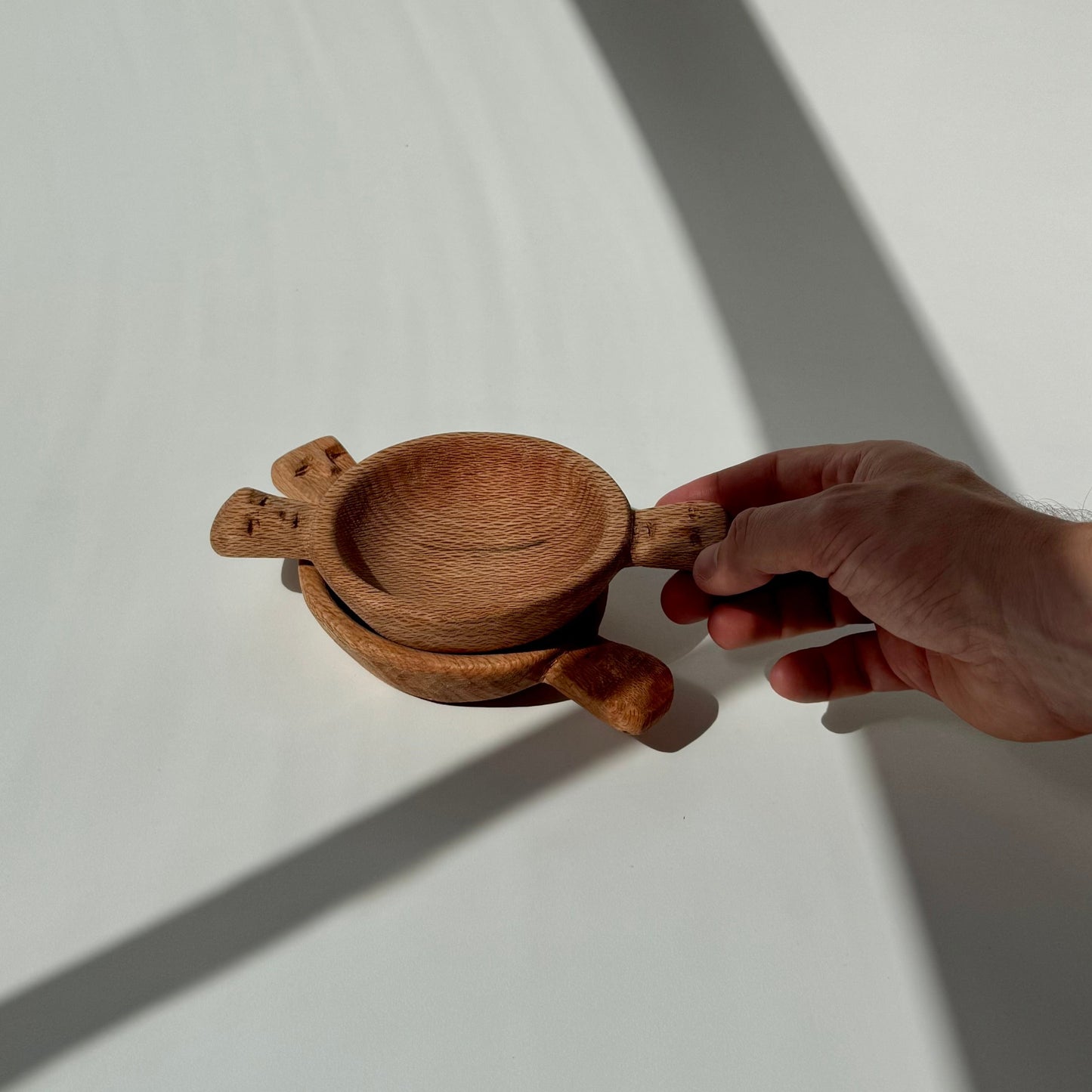 Petisqueiras Mapuche