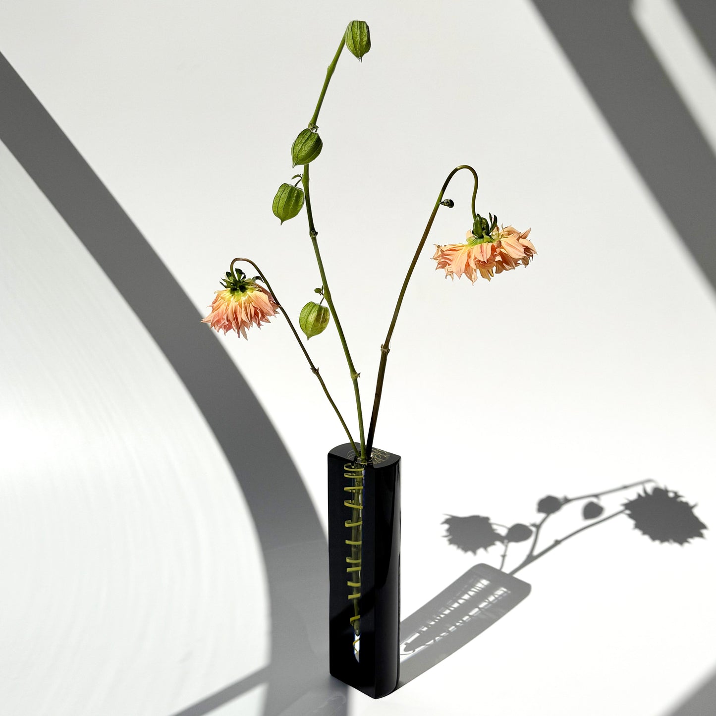 Vaso Radek Kolbàbek