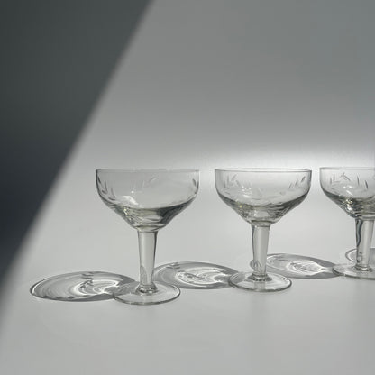 Champagne Vintage