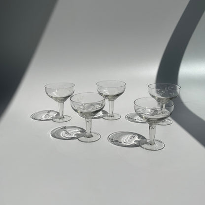 Champagne Vintage