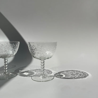 Champagne Francês 50s