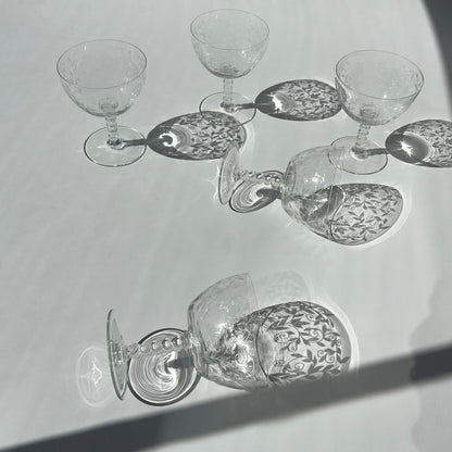 Champagne Francês 50s