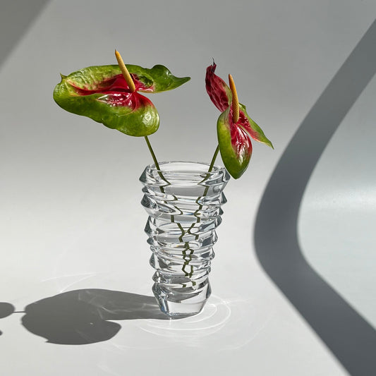 Vaso Slice Nachtmann