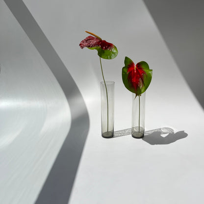 Vasos Cilindricos